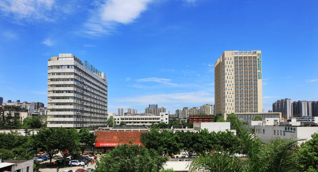 电子科技大学医学院考研
