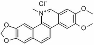 氯化两面针碱13063-04-2