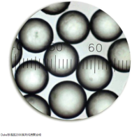 Thermo Scientific™ 4000 系列单一尺寸微粒