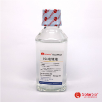 D1060 10×电泳转移缓冲液(转膜液) 蛋白电泳