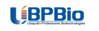 Y3011 Anti-Ubiquitin (P4D1) 100 µg UBPBIO 