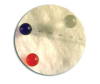 Thermo Scientific™ ChromoSphere™-T 认证的尺寸标准品