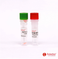 CA1410 活性氧检测试剂盒