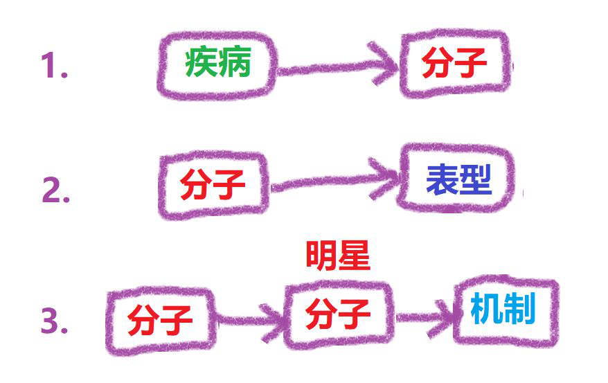 3348319281674344845-14.png