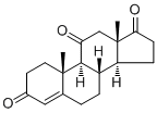 Adrenosterone382-45-6