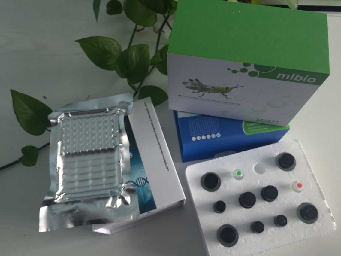 人抗子宫内膜抗体(EMAb)ELISA试剂盒