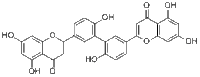 2'',3''-Dihydro-3',3'''-biapigenin图片