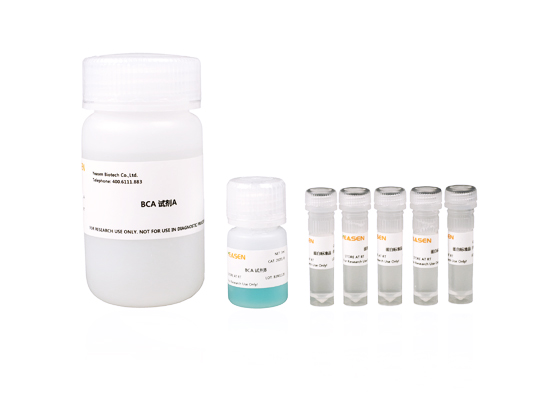 BCA试剂盒 BCA蛋白浓度测定试剂盒(增强型)