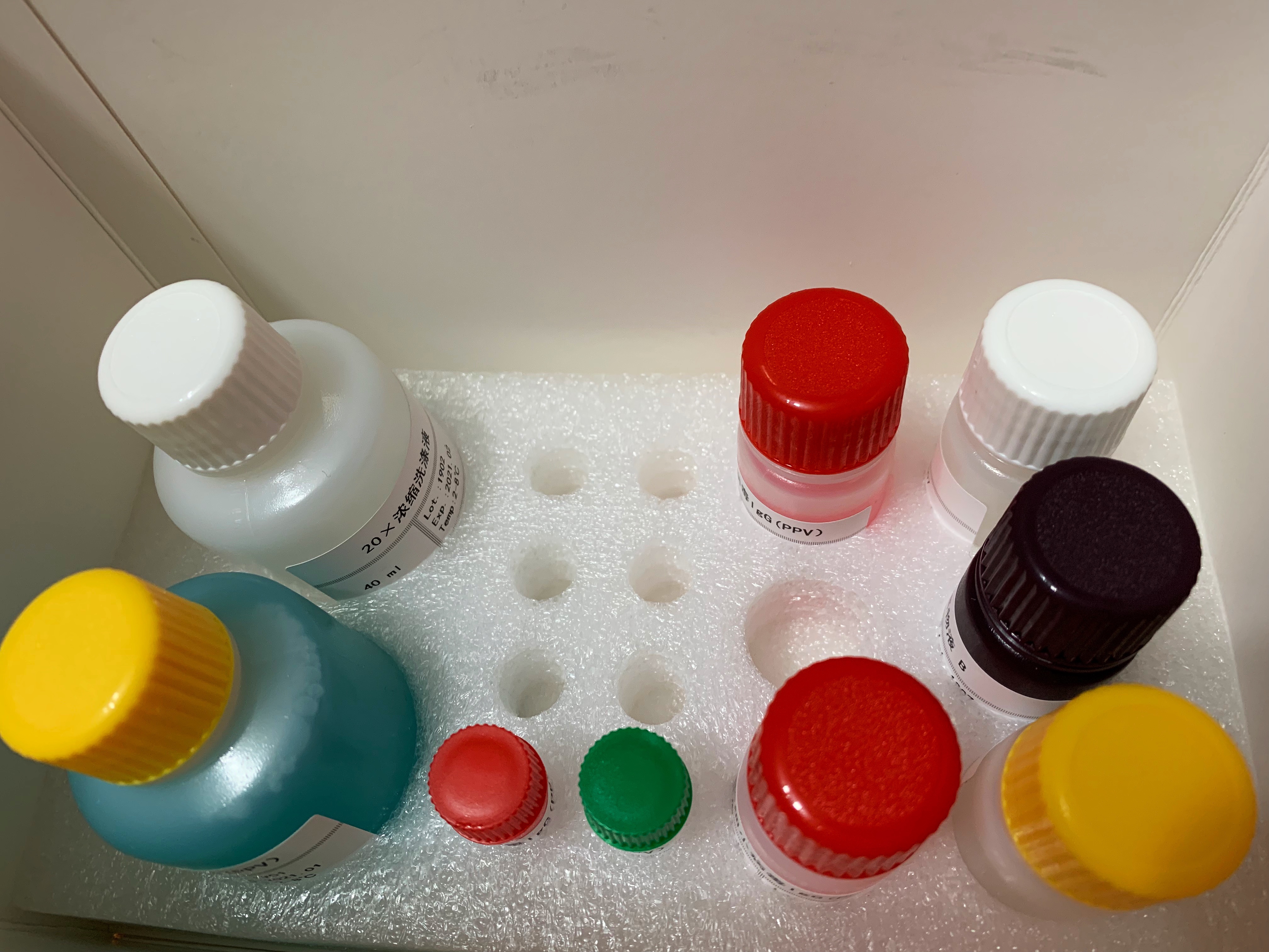 人血纤蛋白原(Fbg)ELISA检测试剂盒