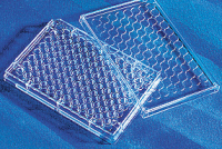 链霉亲和素偶联物 iFluor 488-标记