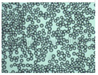 Thermo Scientific™ Dri-Cal™ 微粒尺寸标准品