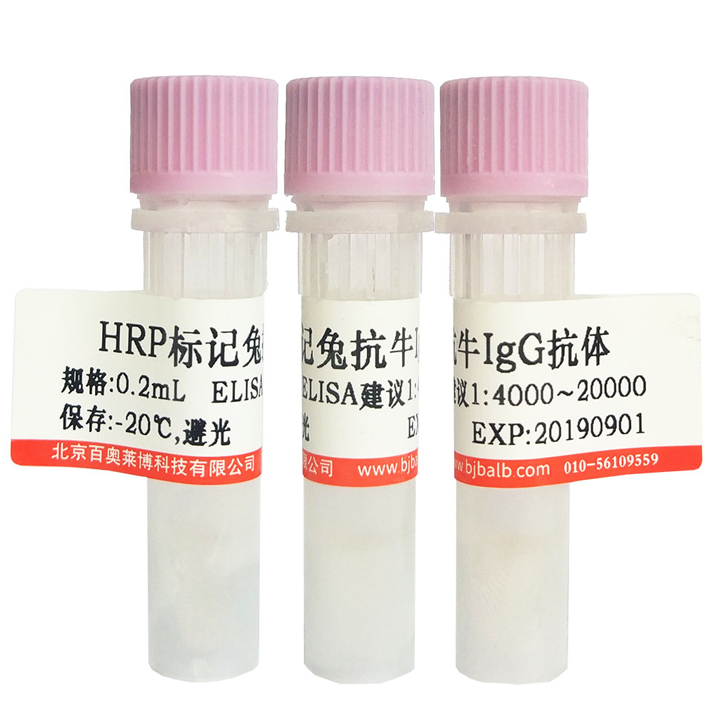 生物素标记羊抗乙肝表面抗原抗体(生物素化一抗)