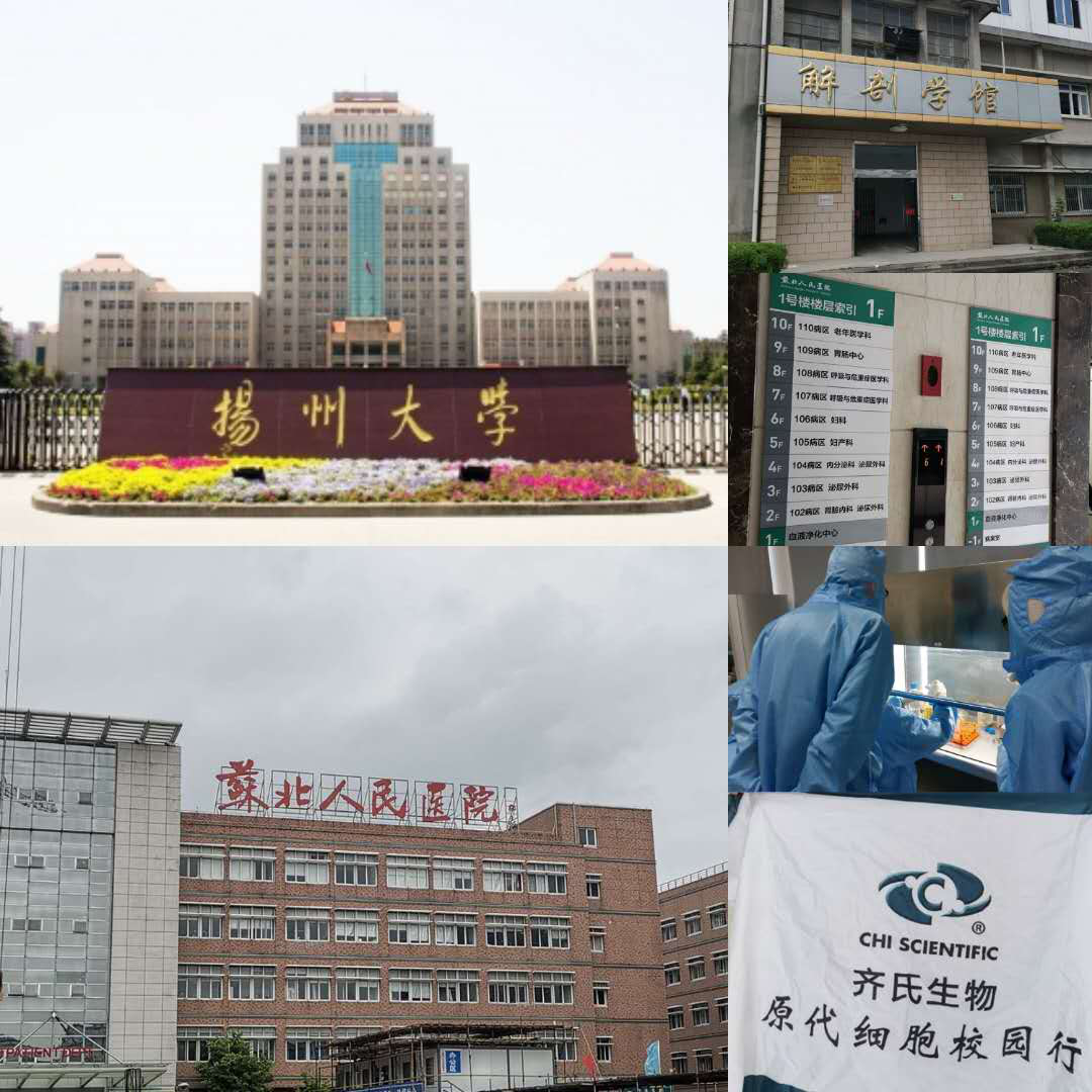 “原代细胞校园行”系列报道：走进扬州大学和扬州大学附属苏北人民医院