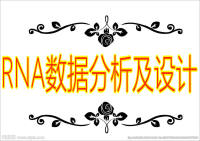 产品图