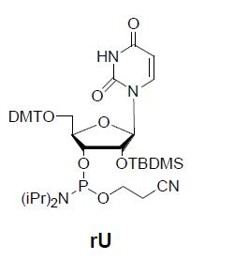 rU  -CE Phosphoramidite/118362-03-1 /rU    CE亚磷酰胺单体