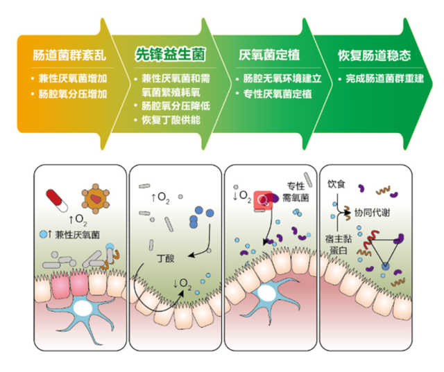 图片 2.png