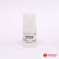 氯霉素溶液（50mg/ml）