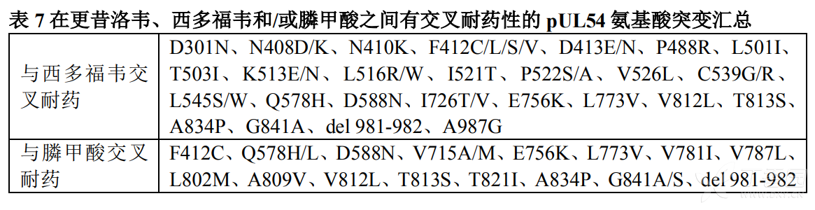 图片预览