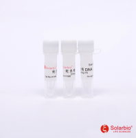 鲑鱼精DNA 10mg/ml