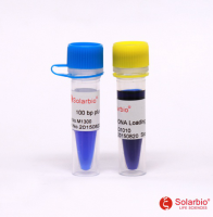 100 bp plus DNA Ladder