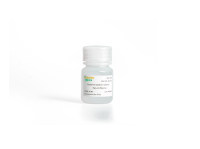 血清/血浆外泌体抽提试剂盒(外泌体提取分离)