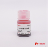 10×丽春红染色液 大量现货 批发供应