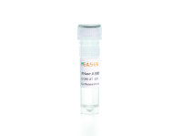 RNase A 核糖核酸酶A Ribonuclease A (100 mg/ml) 