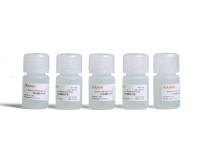 昆虫细胞冻存液(Insect Cell Store Freezing)