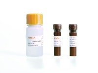 Annexin V-YSFluor 647/PI凋亡检测试剂盒