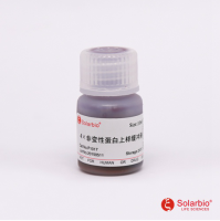 4×非变性蛋白上样缓冲液