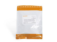 支原体预防剂-MycAway支原体预防试剂（2000×）