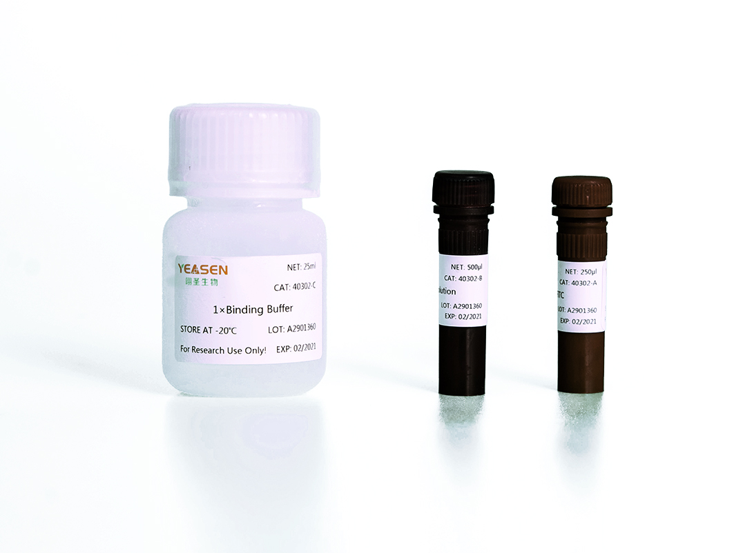 Annexin V-FITC/PI细胞凋亡检测试剂盒[可申请试用]