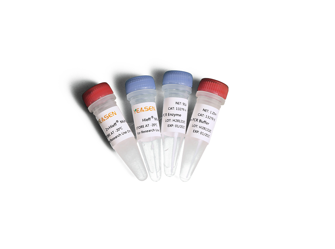 Hieff® Multiplex PCR Kit(多重PCR