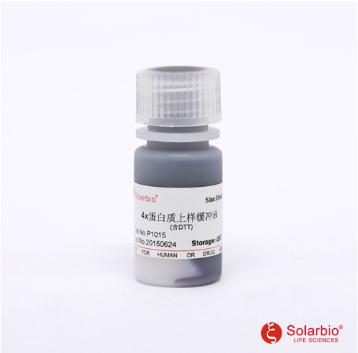 4×蛋白上样缓冲液(含DTT)