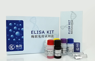 人白介素2(IL-2)ELISA试剂盒