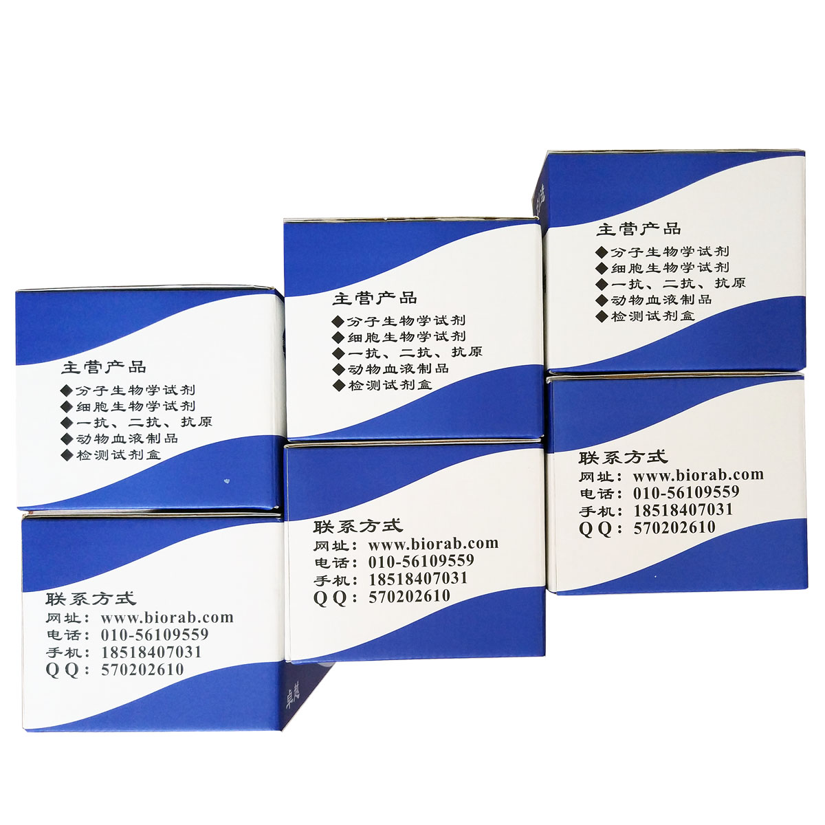 Tunel细胞凋亡检测试剂盒（POD）北京品牌