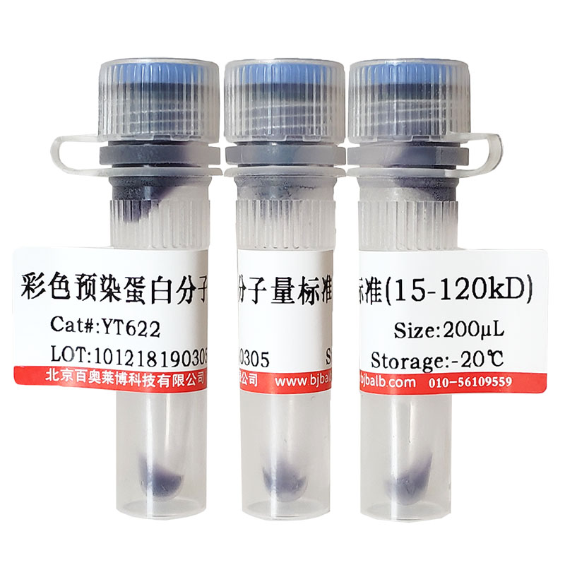 阳离子型表面活性剂抗生素剂(1405-20-5)(85.0%)