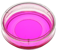 P35G-0-20-C 共聚焦培养皿