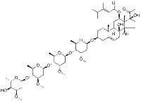 Otophylloside B 4'''-O-α-L-cymaropyranoside171422