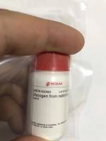 Glycogen from rabbit liver