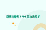 亚细胞器及 FFPE 蛋白组学简介