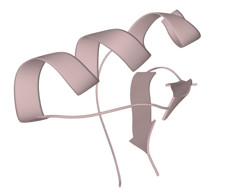 Martentoxin/东亚钳蝎毒素