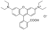 Rhodamine B81-88-9