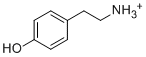 酪胺盐酸盐60-19-5