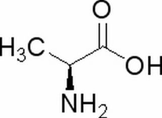 L-丙氨酸56-41-7
