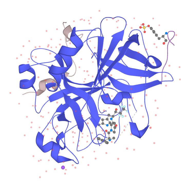 Recombinant Hirudin/8001-27-2/ 重组水蛭素