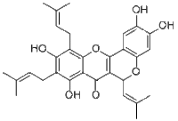 Artoheterophyllin B厂家