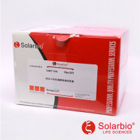 SDS-PAGE凝胶制备试剂盒