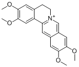 Pseudopalmatine19716-66-6