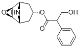 Norscopolamine4684-28-0